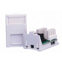 Cat6 LJ6C UTP RJ45 Module