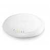ZyXEL WAC6103D-I | ZyXEL Wireless Networks