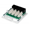 Cat6 CCS 4000 Series - Vertical Outlets