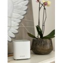D-Link COVR AX1800 Dual Band Whole Home Mesh Wi‑Fi 6 System