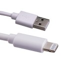USB 2.0 Type A Male - Lightning MFI 8Pin Male Cable White