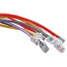 Custom Cat6 UTP RJ45 Patch Leads