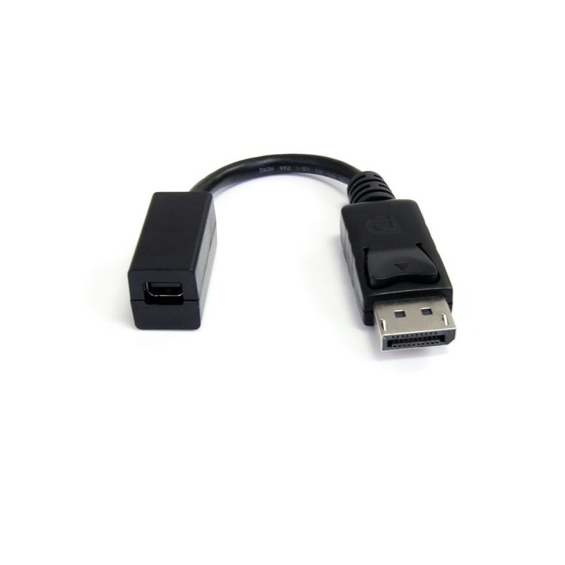StarTech.com  DP/Mini DP Adapter