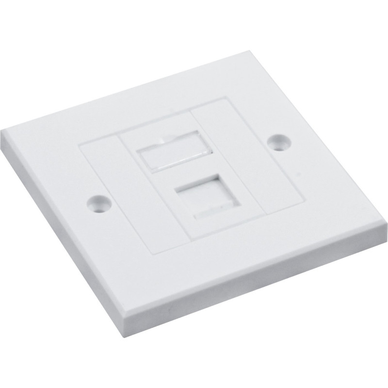 Cat5e UTP RJ45 Loaded Faceplates Cat5e UTP RJ45 Loaded Faceplates